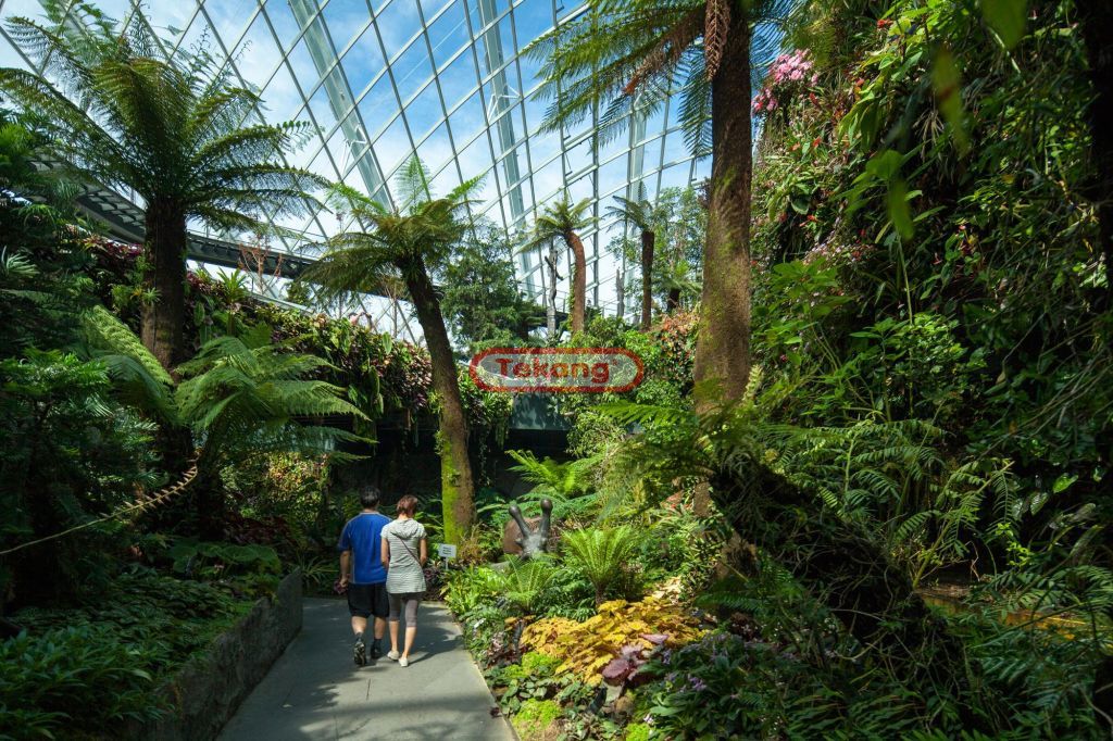 Gardens by the Bay – Conservatories